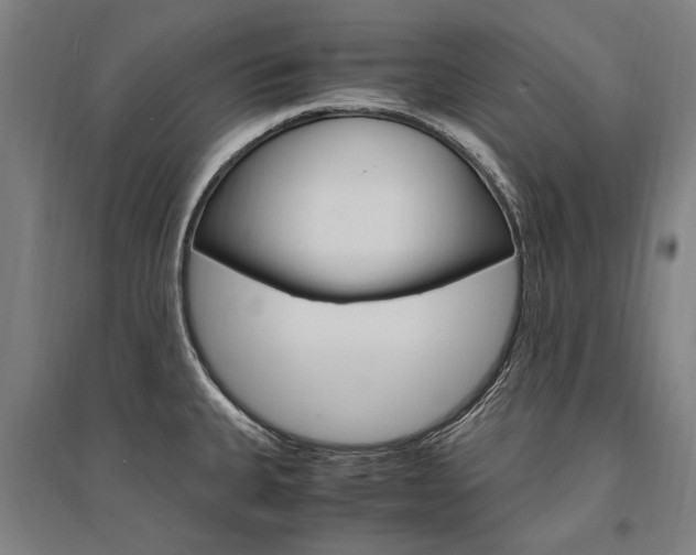 X0000095541335200712141015