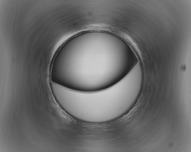 X0000095541336200712141015