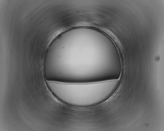 X0000095541337200712141015
