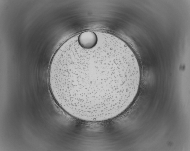 X0000095541338200712141015