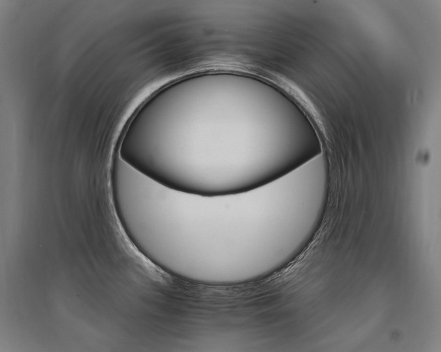 X0000095541339200712141015