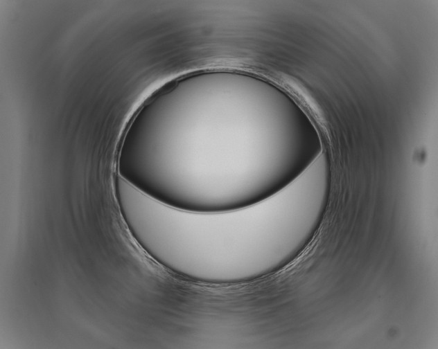 X0000095541340200712141015