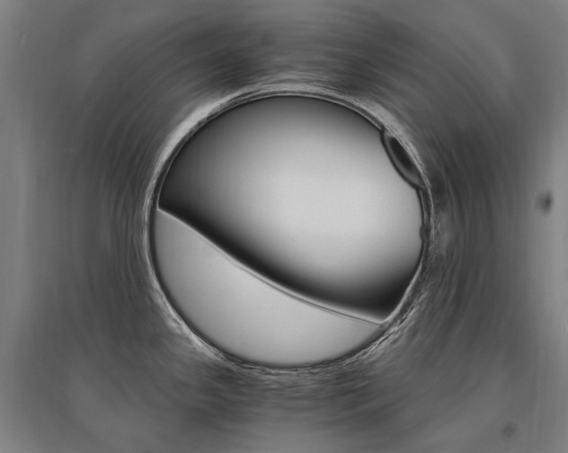 X0000095541341200712141015