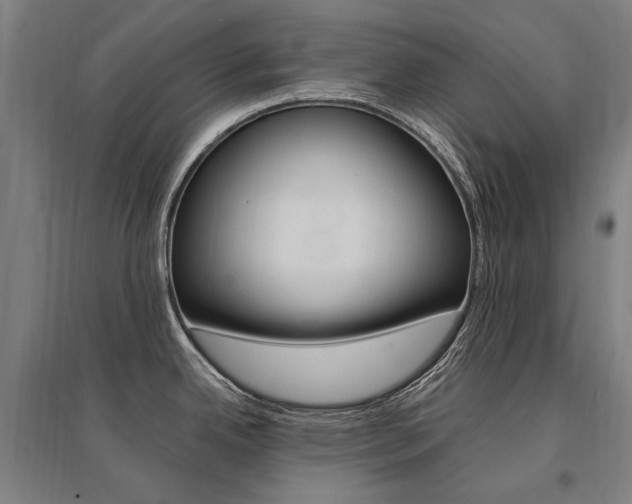 X0000095541342200712141015
