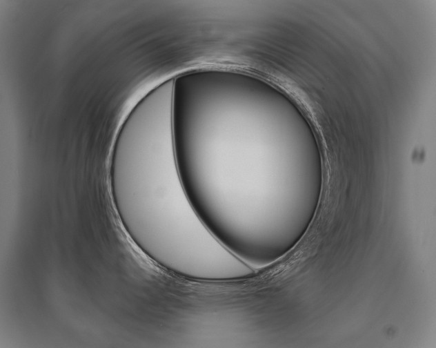 X0000095541344200712141015