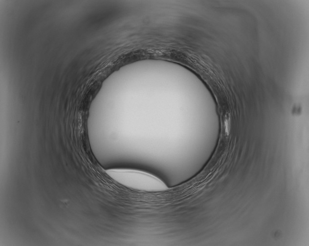 X0000095541347200712141014