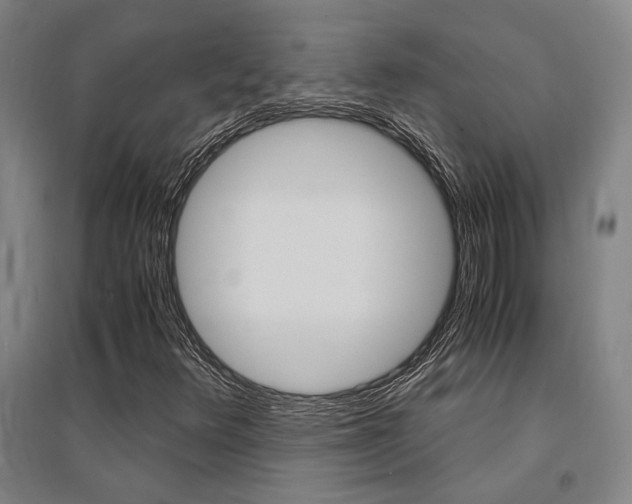X0000095541348200712141014