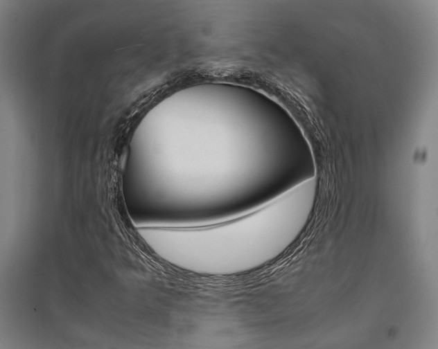 X0000095541349200712141014