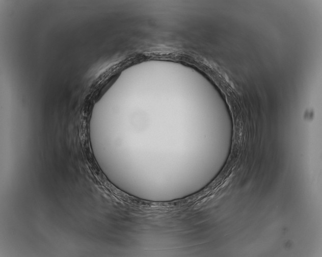 X0000095541350200712141014