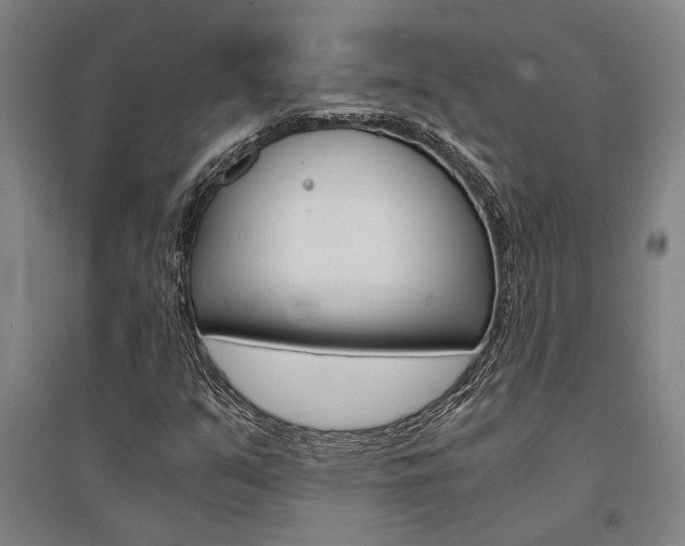 X0000095541351200712141014