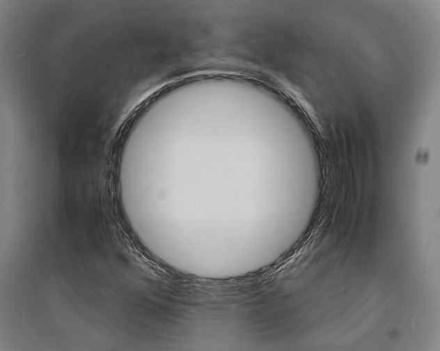 X0000095541352200712141014
