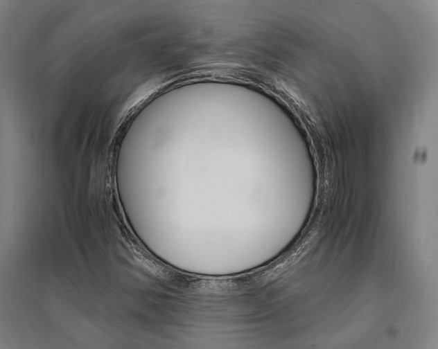 X0000095541354200712141014