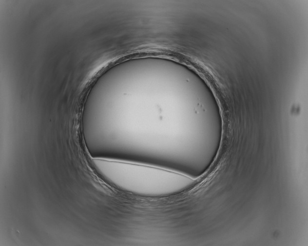 X0000095541355200712141014