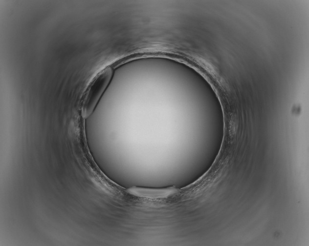 X0000095541356200712141014