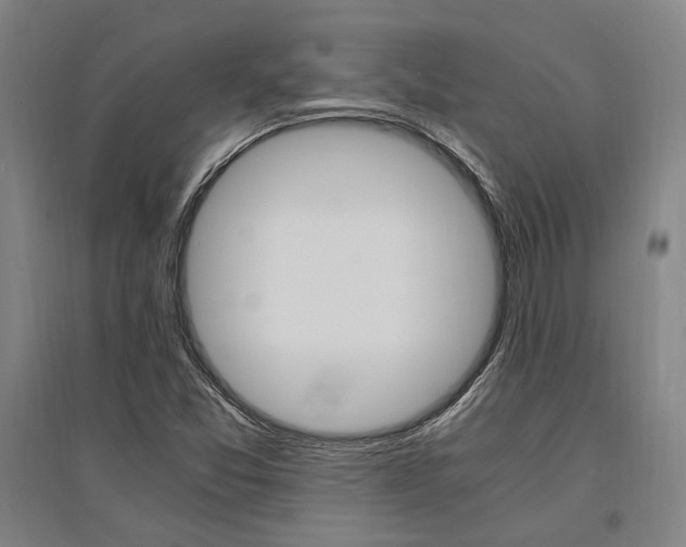 X0000095541357200712141014