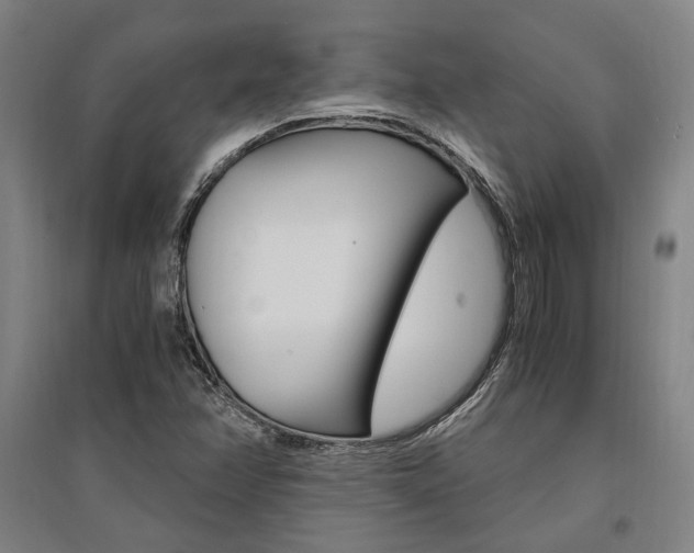 X0000095541358200712141014