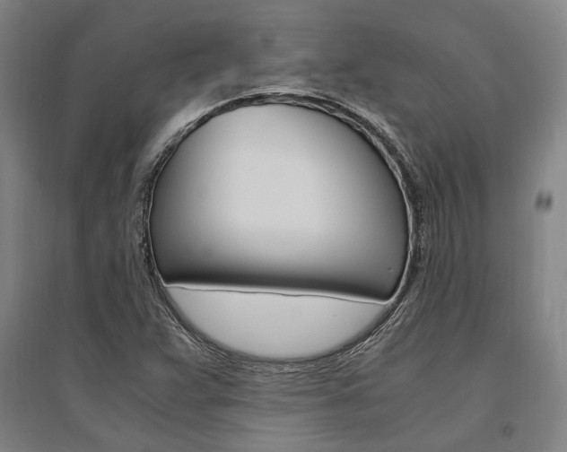 X0000095541359200712141014