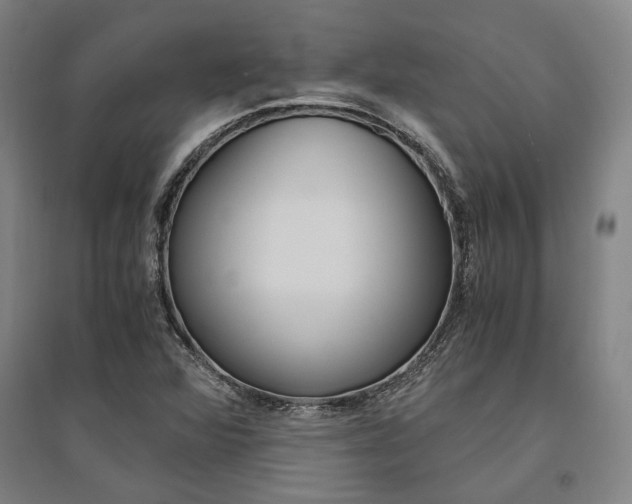 X0000095541360200712141014
