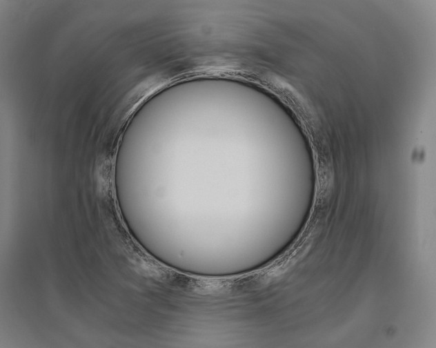 X0000095541361200712141014
