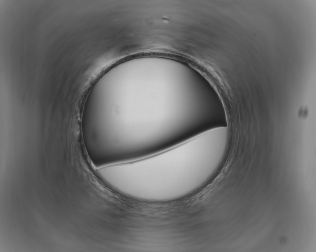 X0000095541363200712141014