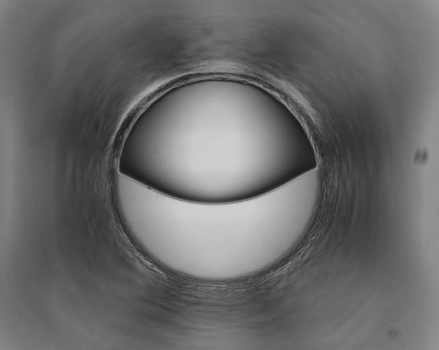 X0000095541364200712141014