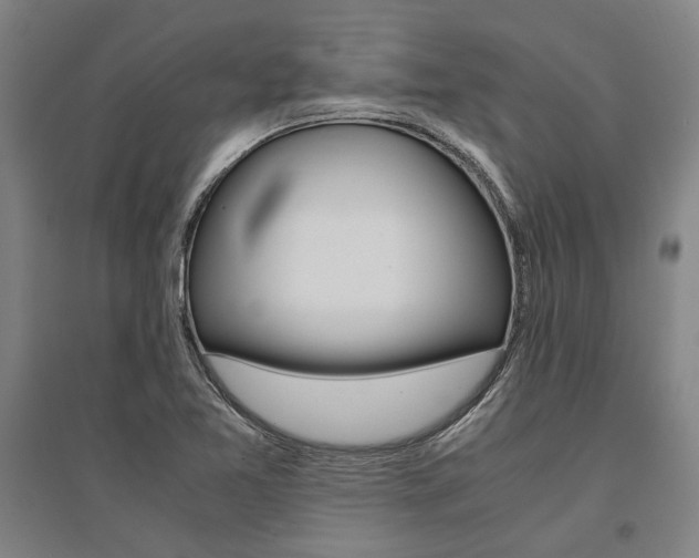 X0000095541365200712141014