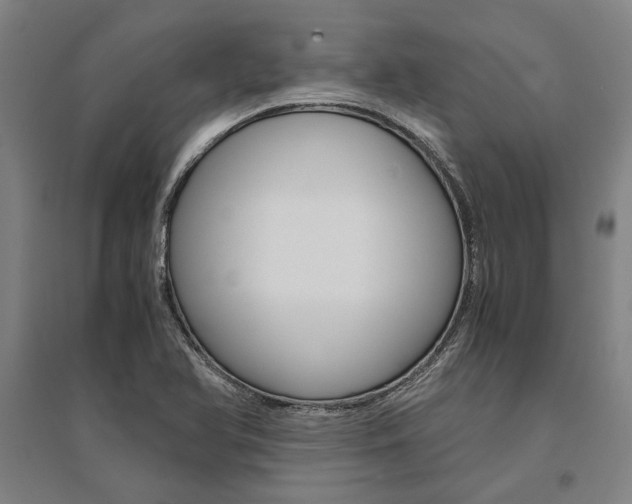 X0000095541366200712141014