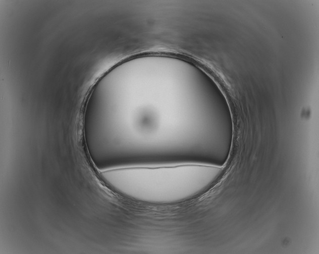 X0000095541367200712141014