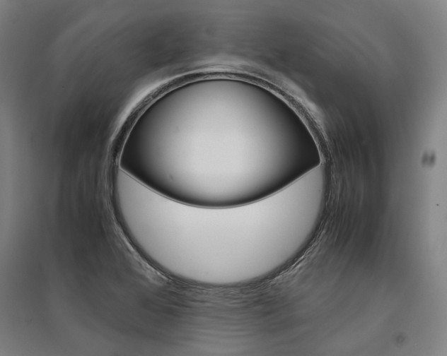 X0000095541368200712141014