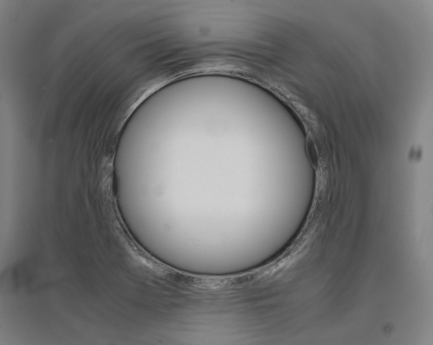 X0000095541369200712141014
