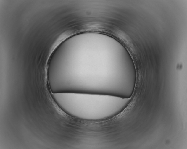 X0000095541370200712141014