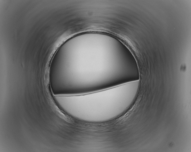 X0000095541371200712141014