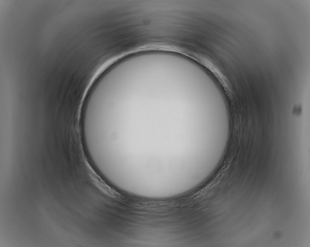 X0000095541372200712141014