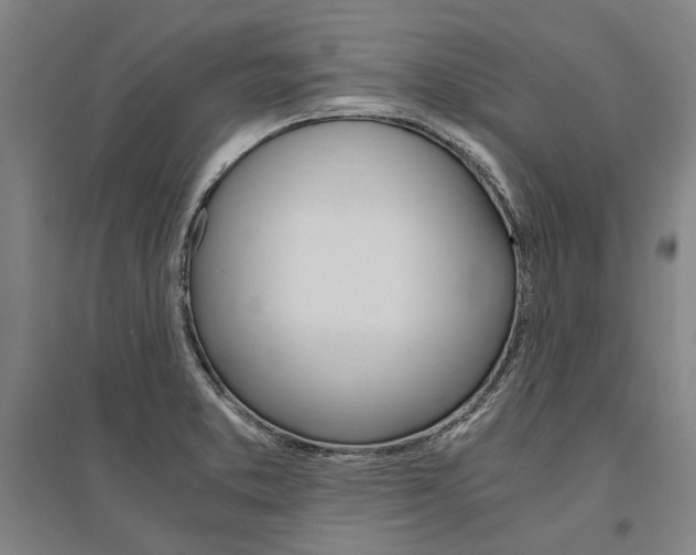 X0000095541373200712141014