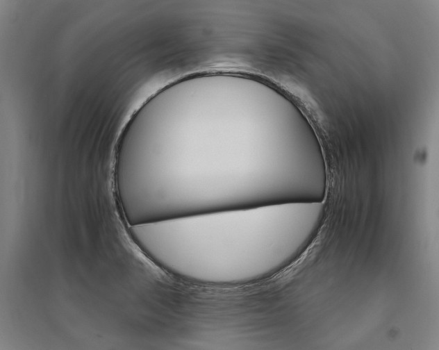 X0000095541374200712141014