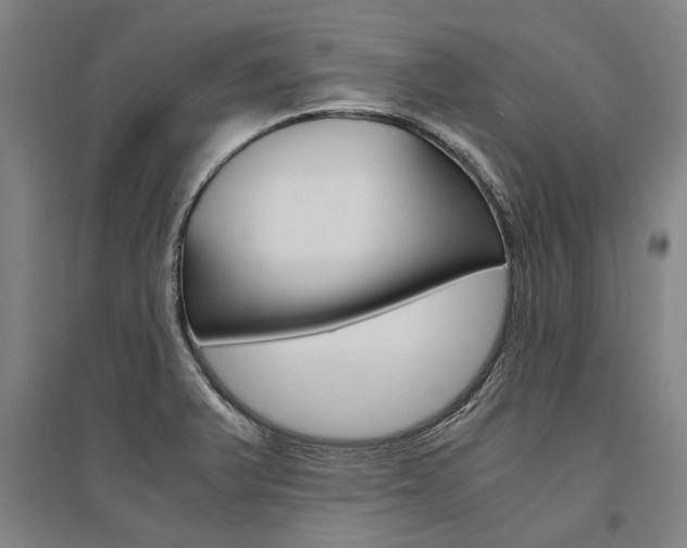 X0000095541375200712141014