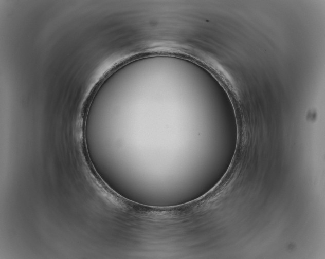 X0000095541376200712141014