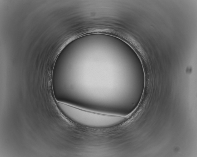 X0000095541377200712141014