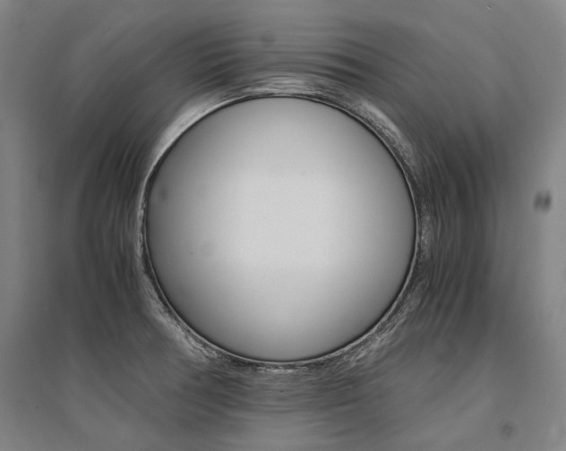 X0000095541378200712141014