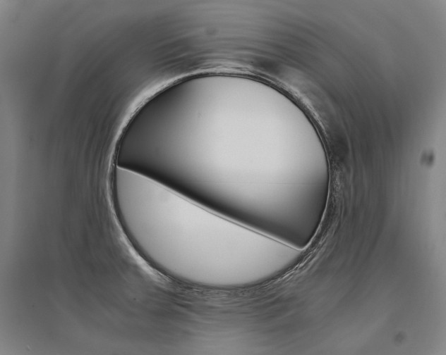 X0000095541379200712141014