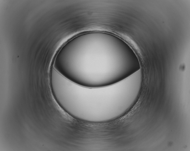 X0000095541380200712141014