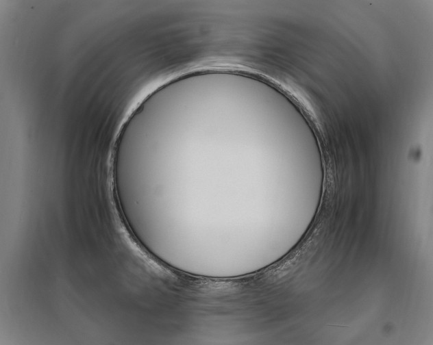 X0000095541382200712141014
