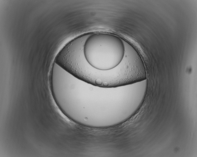 X0000095541383200712141014