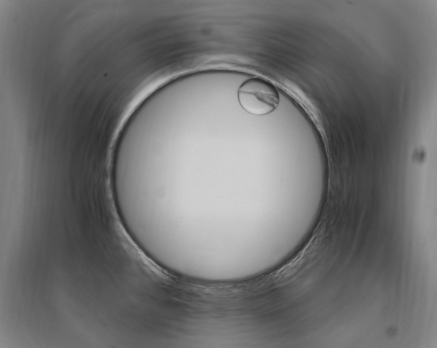 X0000095541384200712141014