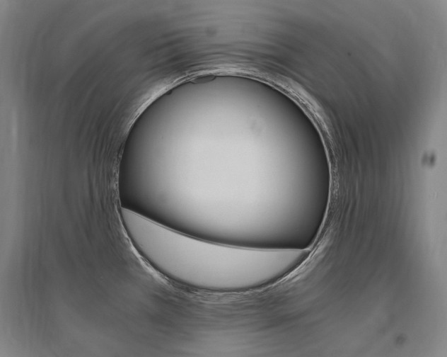 X0000095541385200712141014