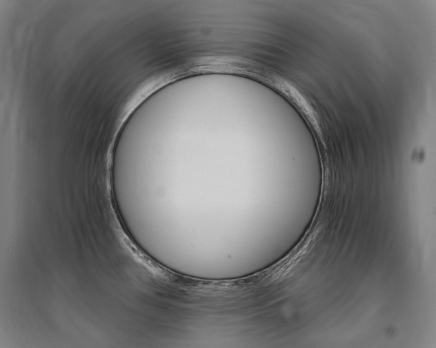 X0000095541386200712141014
