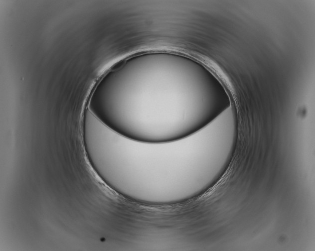 X0000095541388200712141014