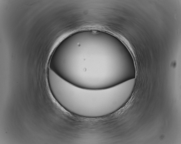 X0000095541389200712141014