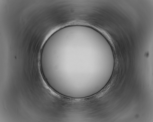 X0000095541390200712141014