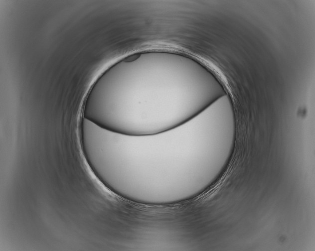 X0000095541391200712141014